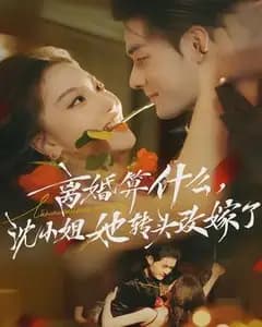 离婚算什么,沈小姐她转头改嫁了