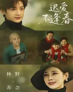迟爱不逢春