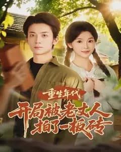 重生年代开局被老丈人拍了一板砖