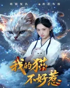 我的猫不好惹