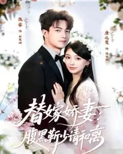替嫁娇妻:腹黑靳少请和离