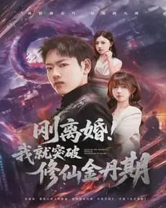 刚离婚!我就突破修仙金丹期