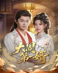大周第一婿完整版免费观看
