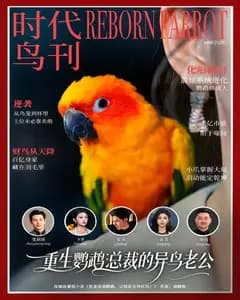 重生鹦鹉:总裁的异鸟老公