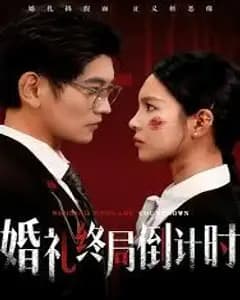 婚礼终局倒计时