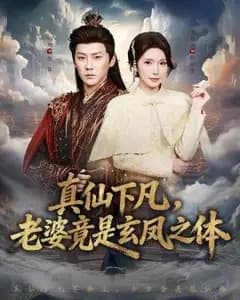 真仙下凡,老婆竟是玄凤之体
