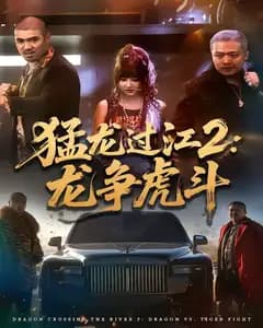 猛龙过江2:龙争虎斗