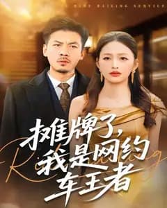 摊牌了,我是网约车王者