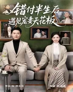 错付半生后,遇见宠妻天花板