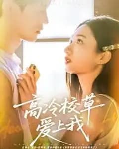 高冷校草爱上我