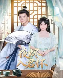 夜烬入君怀