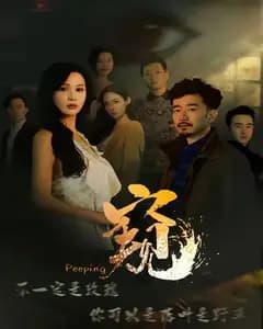窥(窥伺