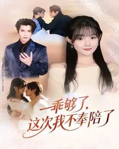 乖够了,这次我不奉陪了