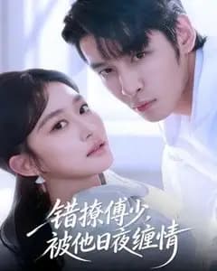 错撩傅少,被他日夜缠情