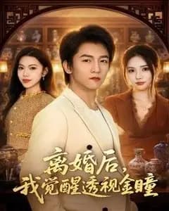 离婚后,我觉醒透视金瞳