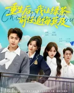重生后,我让绿茶前任追悔莫及
