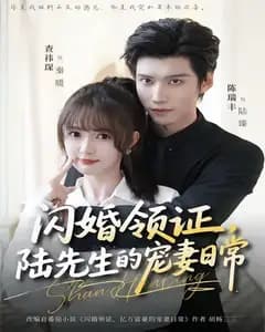 闪婚领证,陆先生的宠妻日常