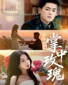 掌中玫瑰(逃离你拥抱你