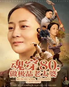 魂穿80,做极品老太婆