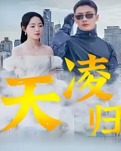 凌天归
