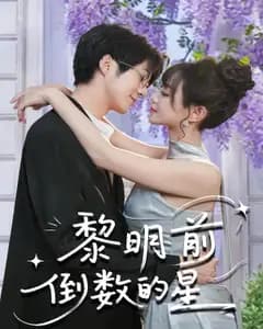 黎明前倒数的星