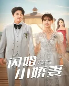 闪婚小娇妻
