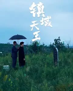 镇域天王