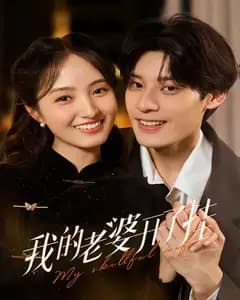 我的老婆开了挂