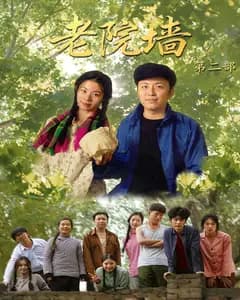 老院墙第二部