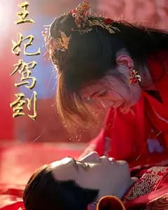 王妃驾到