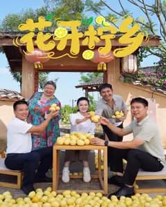花开柠乡