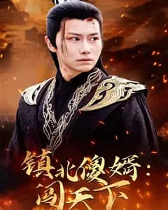 镇北傻婿闯天下