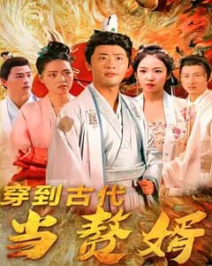 穿到古代当赘婿