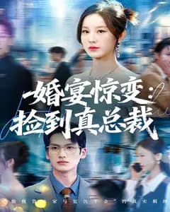 婚宴惊变:捡到真总裁