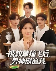 被校草撞飞后,男神倒追我