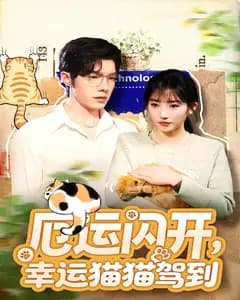 厄运闪开,幸运猫猫驾到