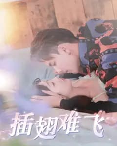 插翅难飞
