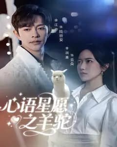 心语星愿之羊驼