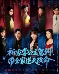 祈家掌公主驾到:全家逆天改命