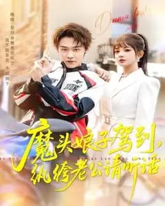 魔头娘子驾到,纨绔老公请听话