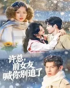 许总,前女友喊你别追了