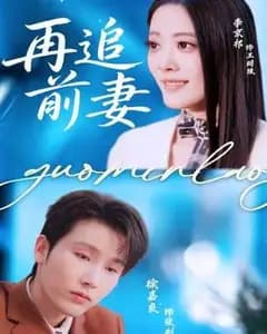 再追前妻