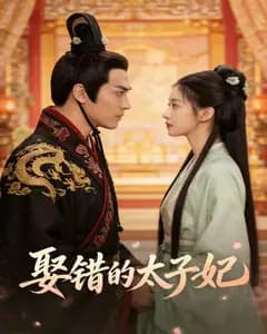 娶错的太子妃完整版免费观看