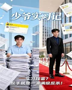 少爷实习记完整版免费观看