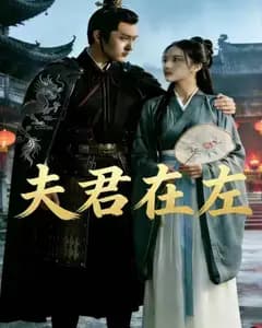 夫君在左完整版免费观看