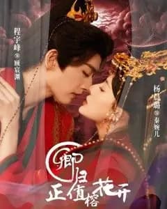 卿归正值榕花开