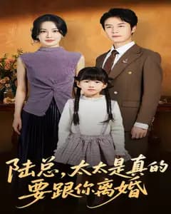 陆总,太太这次是真的要离婚