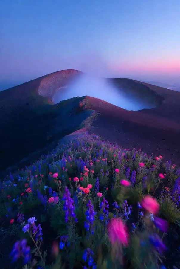 黄金时刻梦幻霓虹花海火山 - 电影级奇幻风景