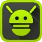 4243 logo