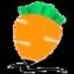 写作萝卜 logo